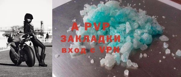 гидра Гусев