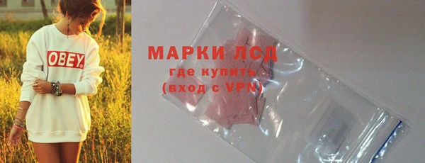 гидра Гусев