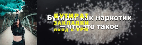 гидра Гусев