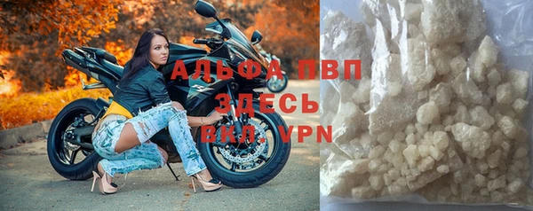 гидра Гусев