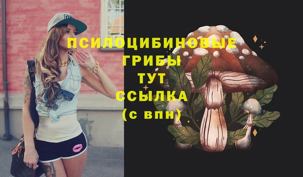 синтетический гашиш Дмитров