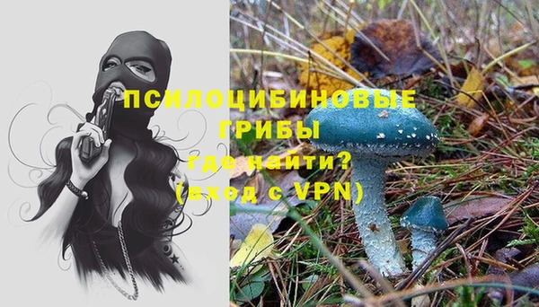 скорость Гусь-Хрустальный