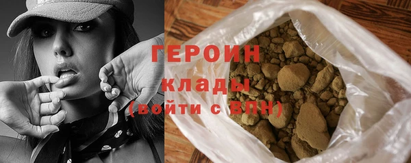 индика Ельня