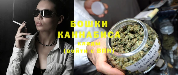 гидра Гусев