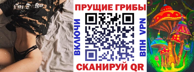 Купить  Каргат  Псилоцибиновые грибы Magic Shrooms 